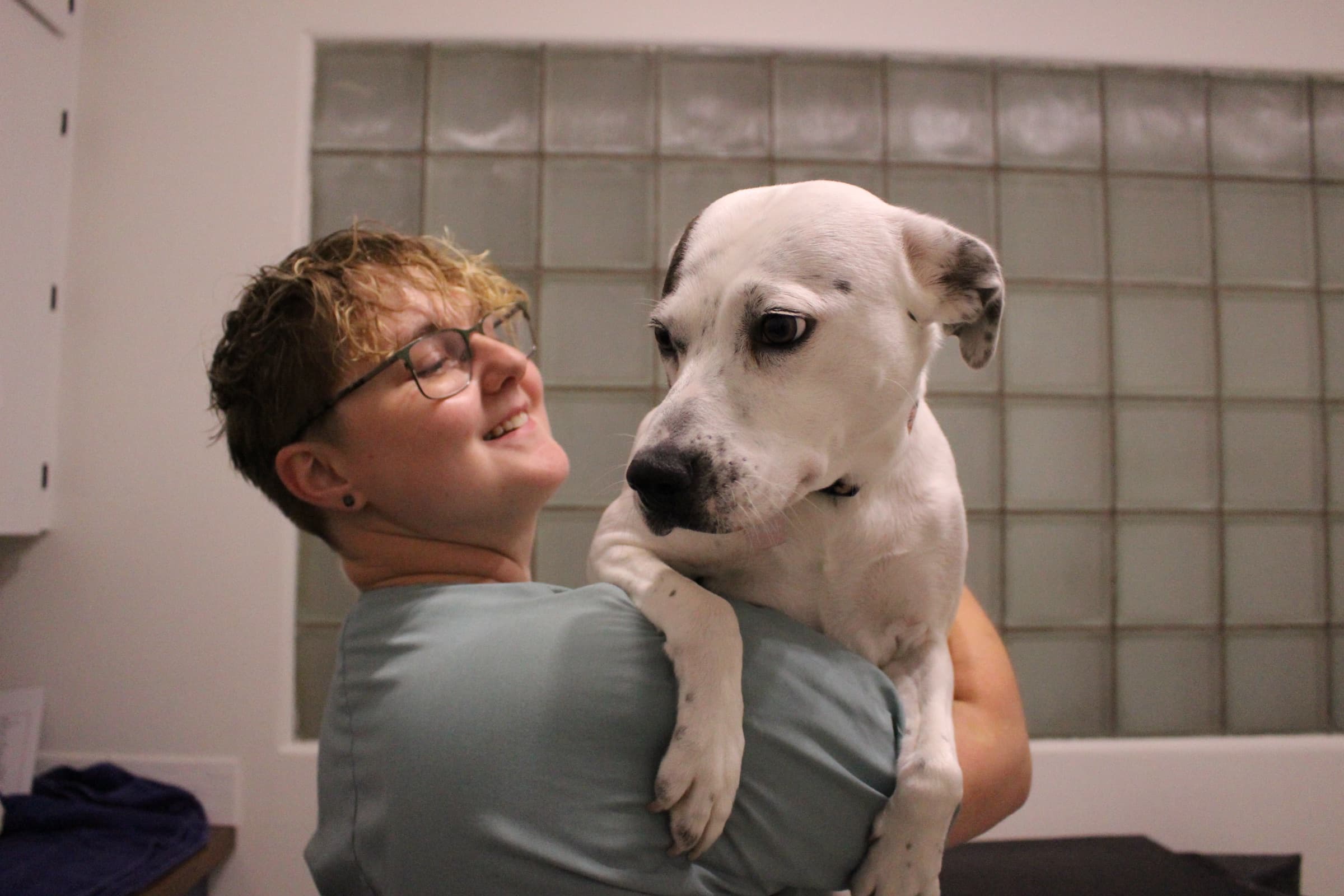 A staff member carries a white and black dog over one shoulder in an exam room.