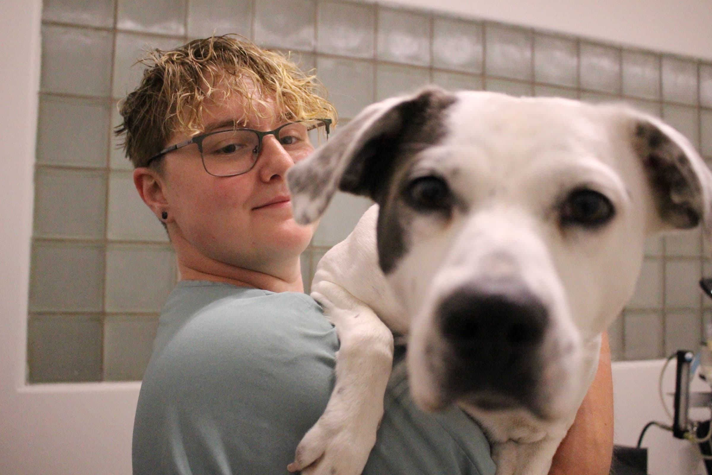 A staff member holds a white and black dog close, comforting him during a visit.